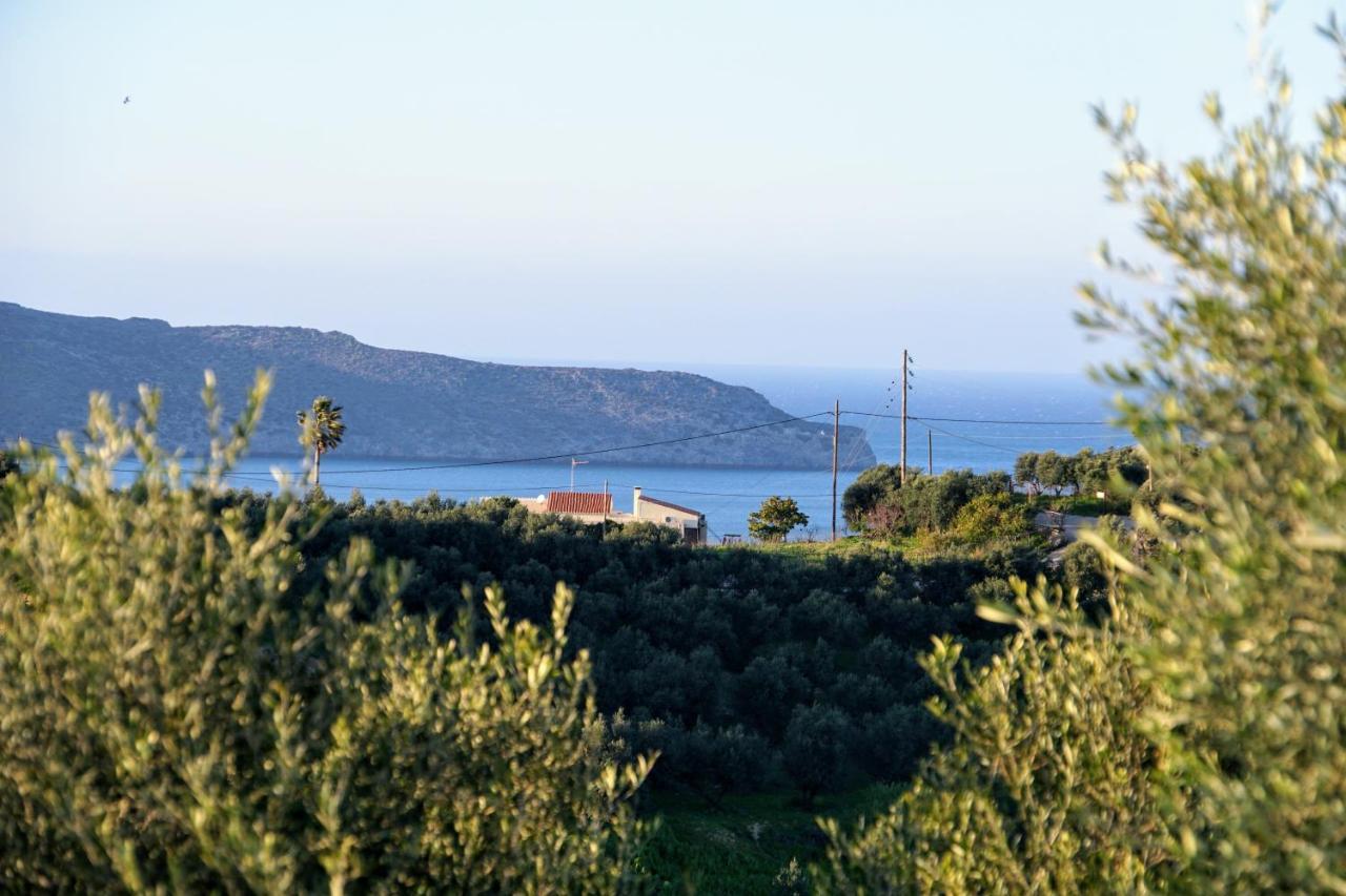 Holiday home Olive Tree Hillside