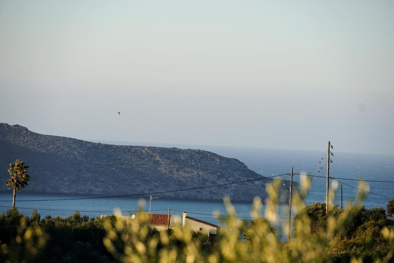 Olive Tree Hillside Holiday home Stalos